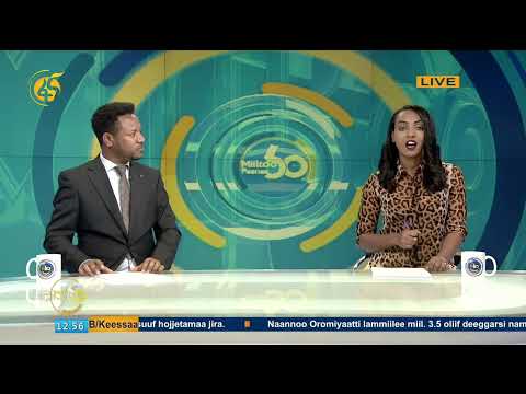 Qormaanni Kutaa 12ffaa Ifoome