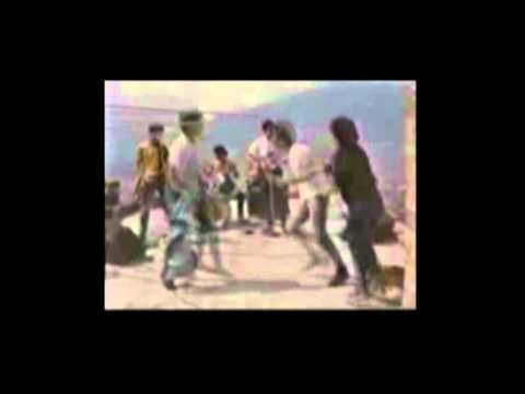 Quemacoches - Veneno