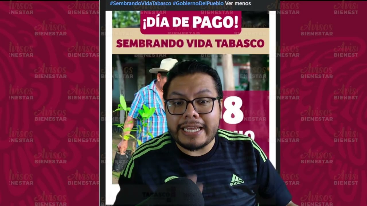 ¡YA CAYO EL PAGO! del programa sembrando vida, junio 2026, no se te pase