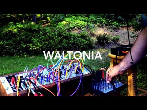 Eurorack Small System: "Waltonia" feat. Maths, Parasite, Hemisphere, Pluck, etc.