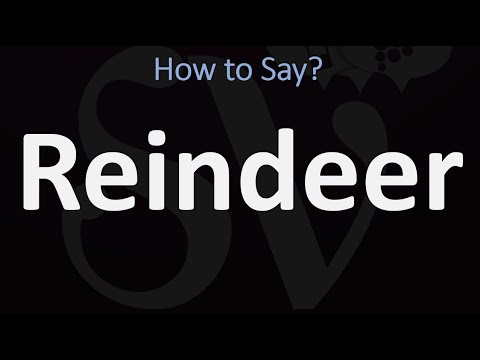 Part of a video titled How to Pronounce Reindeer? (CORRECTLY) - YouTube