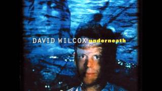 David Wilcox - Spirit Wind
