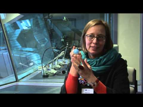 Danielle D'Hayer interviewed about public service interpreting