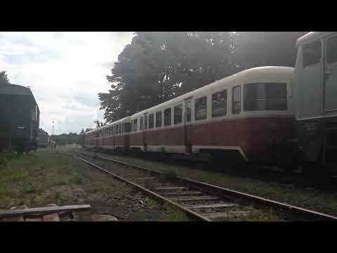 stanice Kovářská: Bardotka na rychlíku