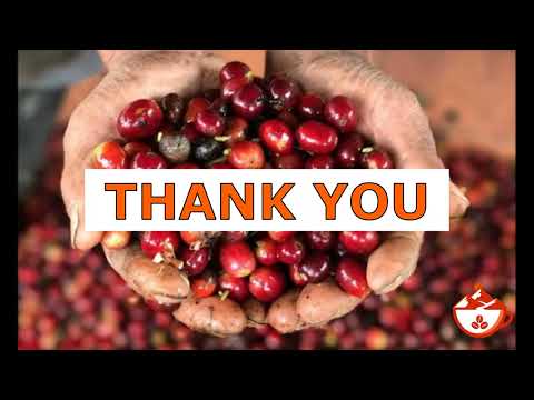 Tribeland  Get to Know us