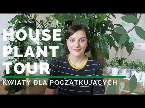 , title : 'House plant tour czyli moja kolekcja roslin | Kwiaty dla poczatkujacych'