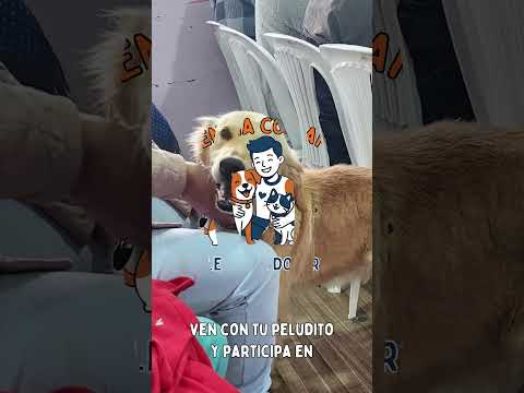 ♥️🐕🐈 Invitación al Match Canino Presidente Urbina 2026