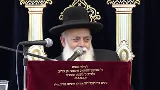 דר וסוחרת • יום שכולו תורה ביום הבחירות 5