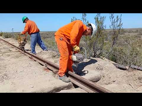 Tren Patagónico ya trabaja en la renovación de la vía Viedma - SAO