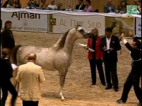 KABSZTAD - All nations Cup 2009