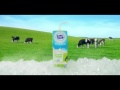 Frisian Flag Coconut Delight