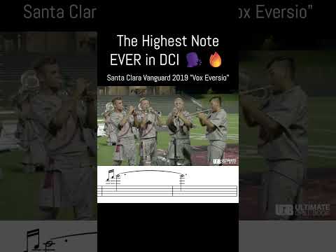 What on EARTH are they feeding these guys