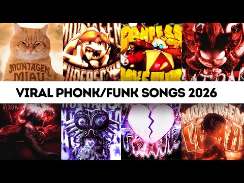 PhonkVibesBR Ltda and 2 more