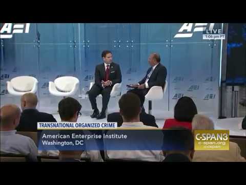 At AEI, Rubio discusses combatting transnational organized crime with Roger Noriega