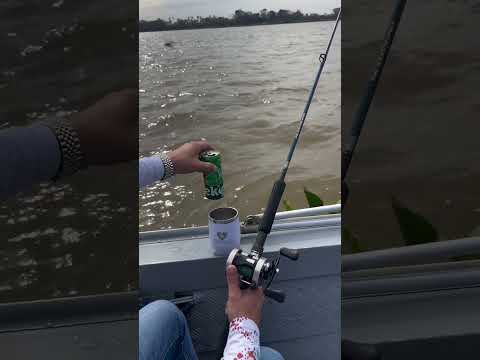 Venham conhecer este lugar sensacional!!! @pousadayaguarete py, Apenas 4 horas de Campo Grande