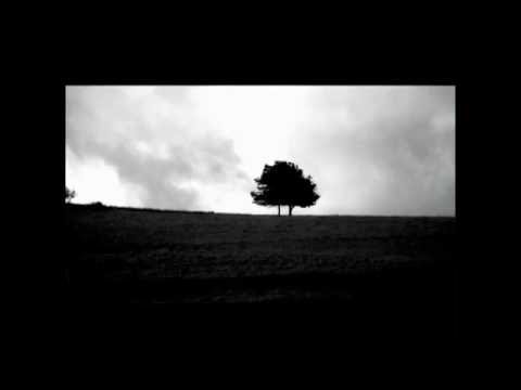 alaif o - novembersend