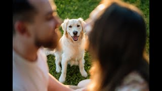 Lauren & Tyler Engagement Slideshow
