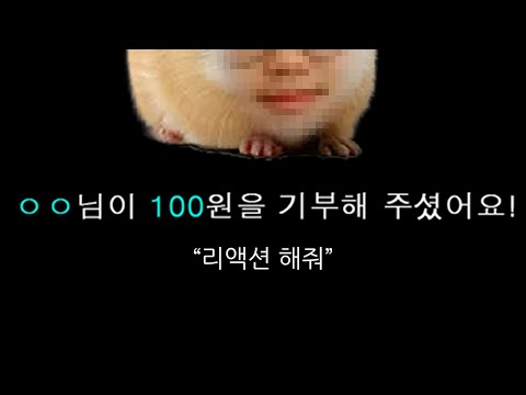 아이콘