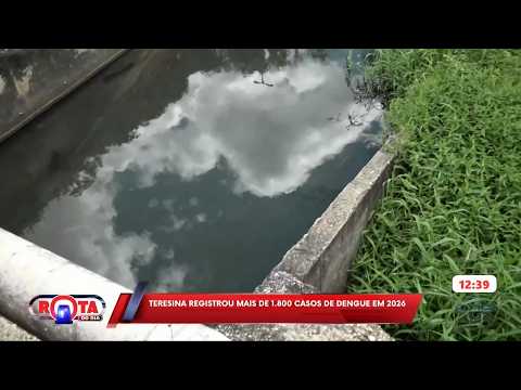 O Dia TV