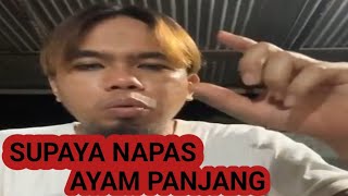 Download lagu How to Care for Aduan Chickens || Antoni Medan mp3