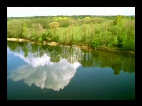 Lietuvai - Vytautas Babravicius