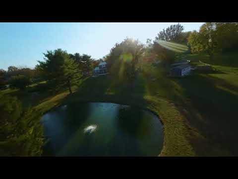 Christopher Abt video