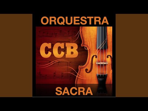 9 - Luminosa é a senda