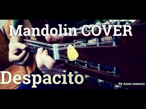 Despacito (Mandolin Cover) - Azziz zemouri