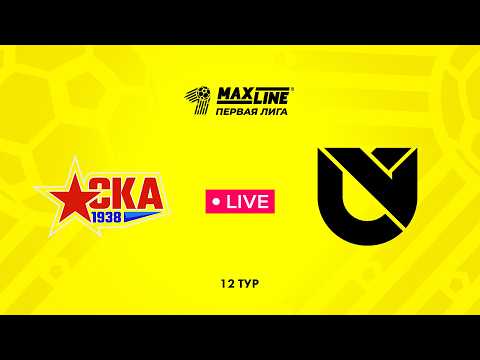 LIVE | РЦОП Стайки — Юни Икс Лабс