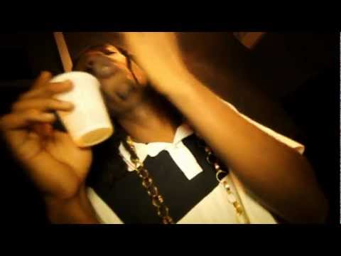 [Jan 2013] DEBROUYA Feat BLADE & MISS ANDYY - Wild [HD CLIP]