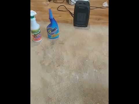 how to get putty out of the carpet how to get putty out of the carpet