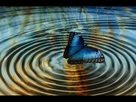 Makus - Efekt motyla