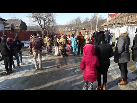 Capra de la Albele 2019