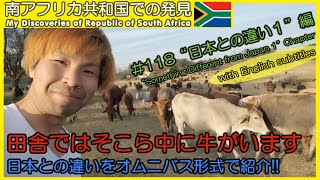 【南アフリカ】#118 日本との違いをオムニバス形式で紹介!! 治安、食べ物、動物、虫など色々紹介しています。 海外ボランティア