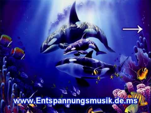 Entspannungsmusik Meer - Walgesang - Wal Musik - Unterwasser