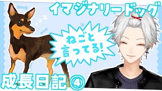 【元イマド】愛犬のかわいい話&優しい声色で戯れる葛葉【成長日記④】