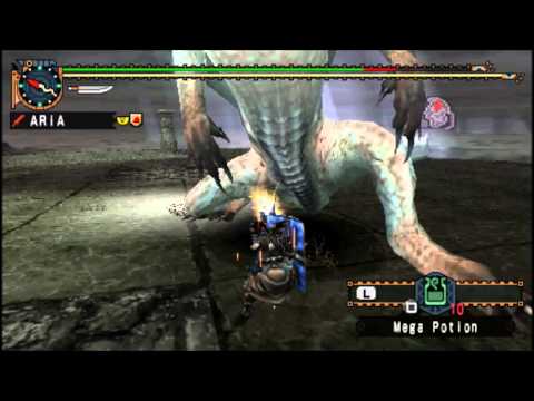 HR9 White Fatalis Solo/Walkthrough - Round4: Final Round