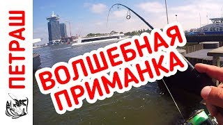 Приманка world fishing рыбомагнит малый световой 200-300ч красное сияние