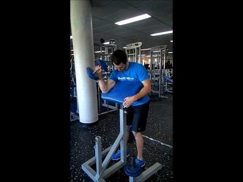 Preacher Dumbbell Reverse Curls   Single Arm