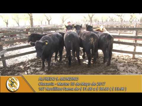 30-05-17 Venta de Hacienda al kilo - Alfredo S Mondino - Olavarria