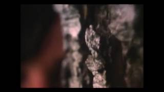 The Legendary Pink Dots - Hanging Gardens