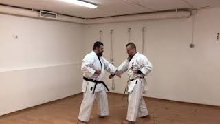 Shotei uke osae uke / training circular soft block