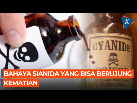 Bahaya Sianida yang Jarang Orang Ketahui