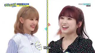 Download lagu (SUB INDO) weekly idol ep402 IZ*ONE mp3