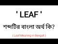 Leaf Meaning In Bengali Leaf শব্দের বাংলা অর্থ কি Bengali Word Mea