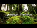 Maatram Ondre Maaradhadhu Whatsapp Status