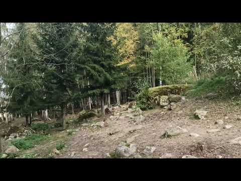 Niin metsä vastaa kuin sinne huutaa