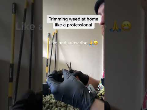 Trimming weed at home