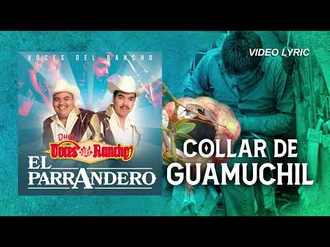 Video thumbnail for Collar de Guamúchil