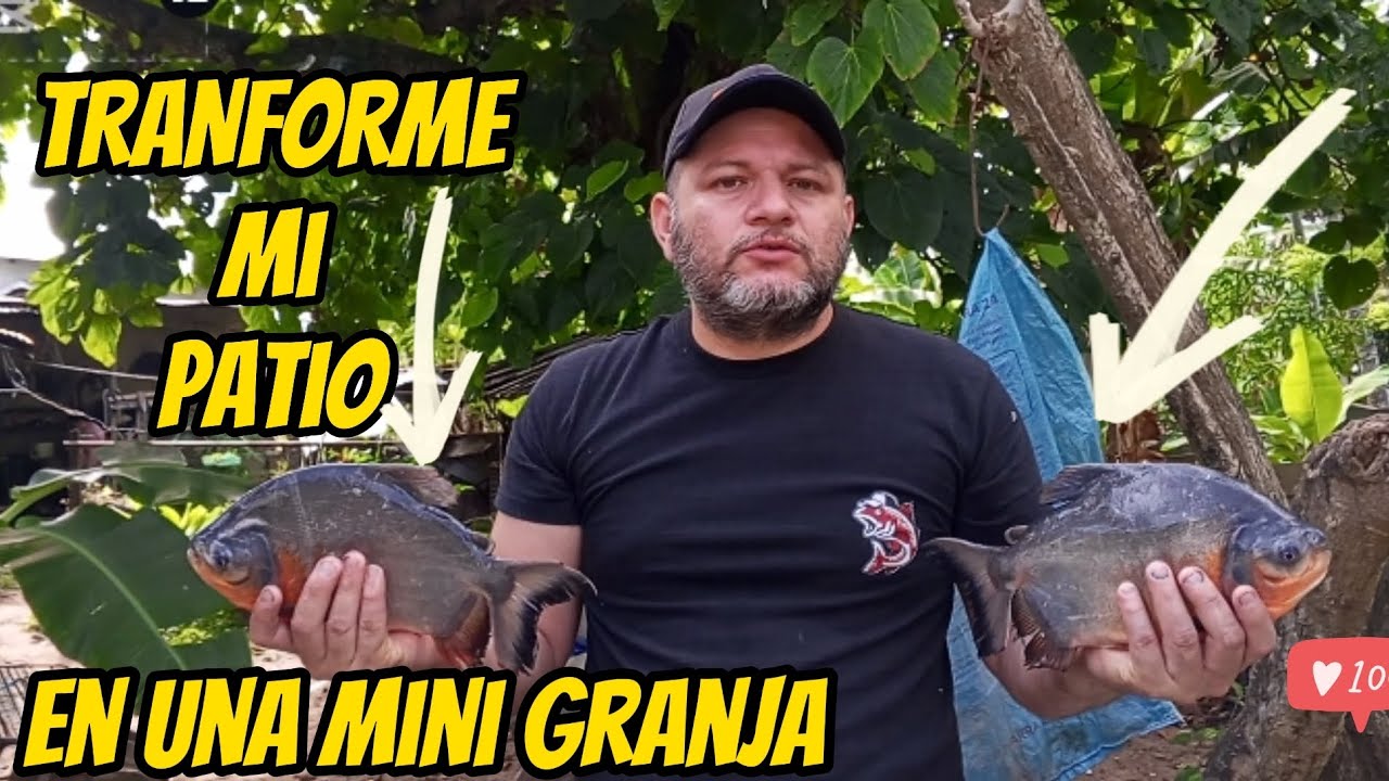 Mini Granja Autosuficiente